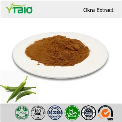Okra Extract Prášek