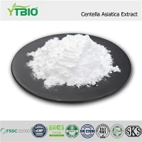 Extrakt z Centella Asiatica v prášku